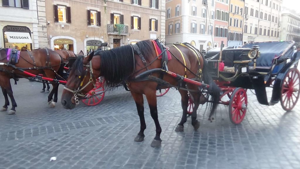 Bed And Breakfast Adduci'S House Rome Luaran gambar