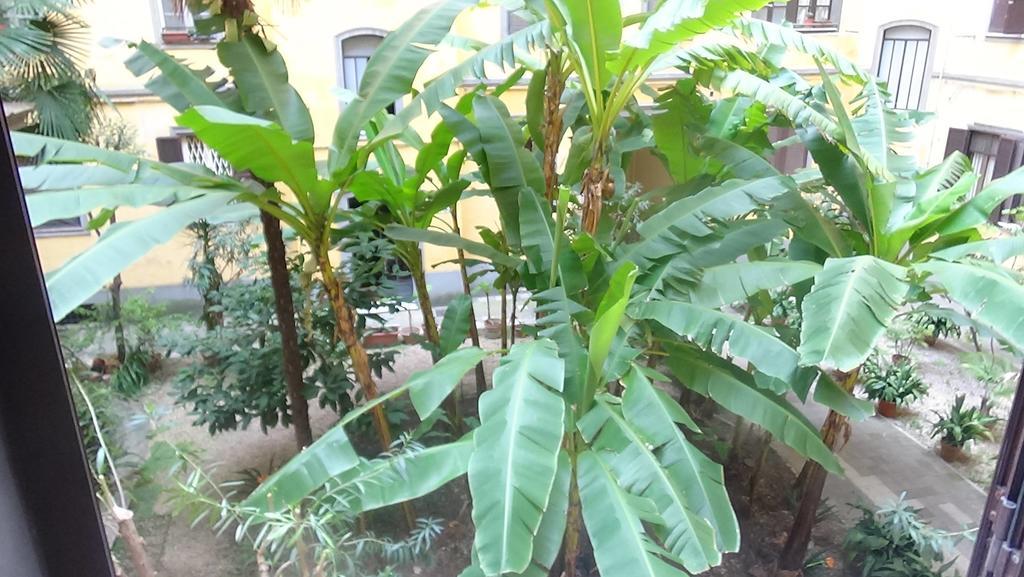 Bed And Breakfast Adduci'S House Rome Luaran gambar